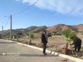 عنبر در مسیر توسعه فضای سبز شهری